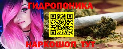 спиды Кузнецк