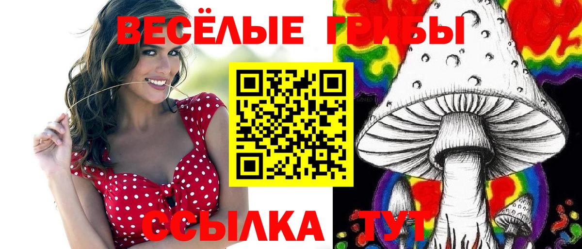 Кирово-Чепецк  Псилоцибиновые грибы мухоморы  Вход с VPN  Псилоцибиновые грибы GOLDEN TEACHER 